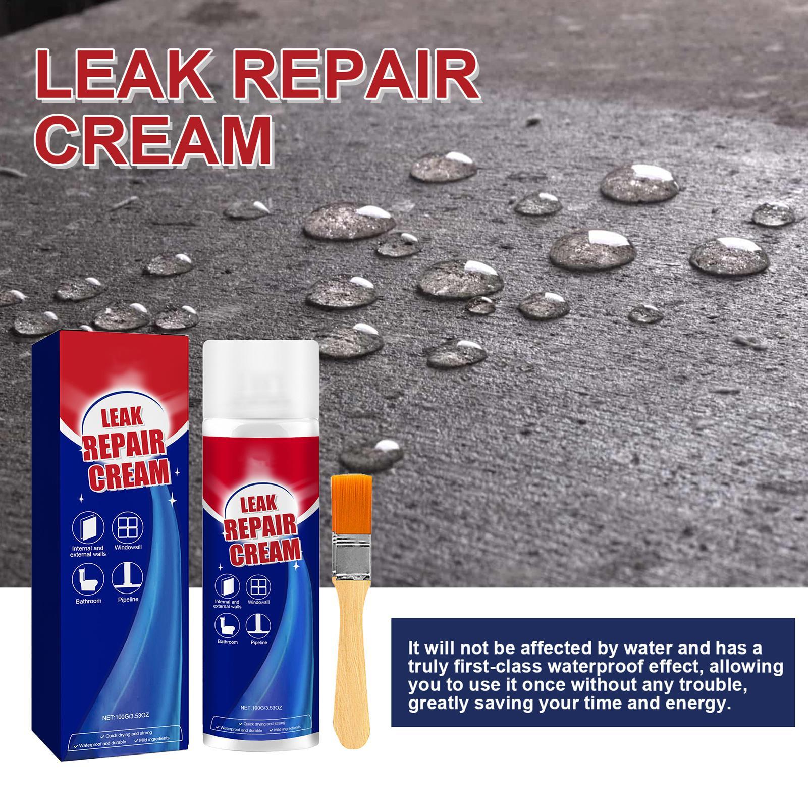 สเปรย์ซีลแลนท์ 100 มล. สเปรย์ซ - Roof Sealant Patch บทวิจารณ์และราคา